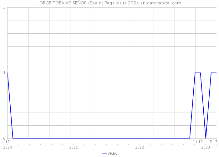 JORGE TOBAJAS SEÑOR (Spain) Page visits 2024 