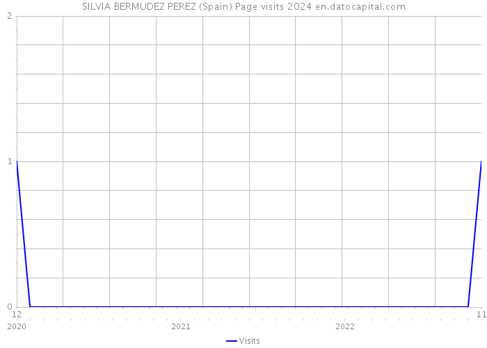 SILVIA BERMUDEZ PEREZ (Spain) Page visits 2024 