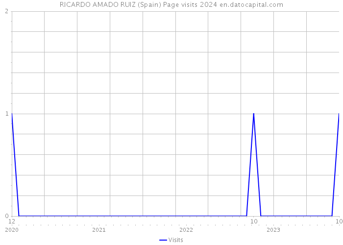 RICARDO AMADO RUIZ (Spain) Page visits 2024 