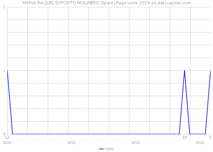 MARIA RAQUEL EXPOSITO MOLINERO (Spain) Page visits 2024 