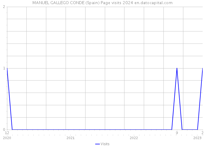 MANUEL GALLEGO CONDE (Spain) Page visits 2024 