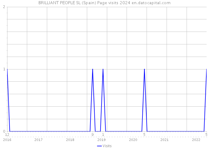 BRILLIANT PEOPLE SL (Spain) Page visits 2024 