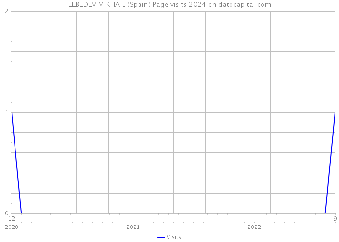 LEBEDEV MIKHAIL (Spain) Page visits 2024 
