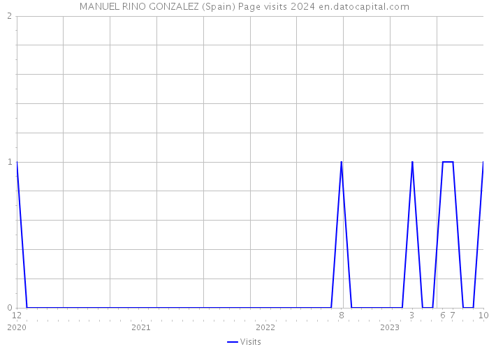 MANUEL RINO GONZALEZ (Spain) Page visits 2024 