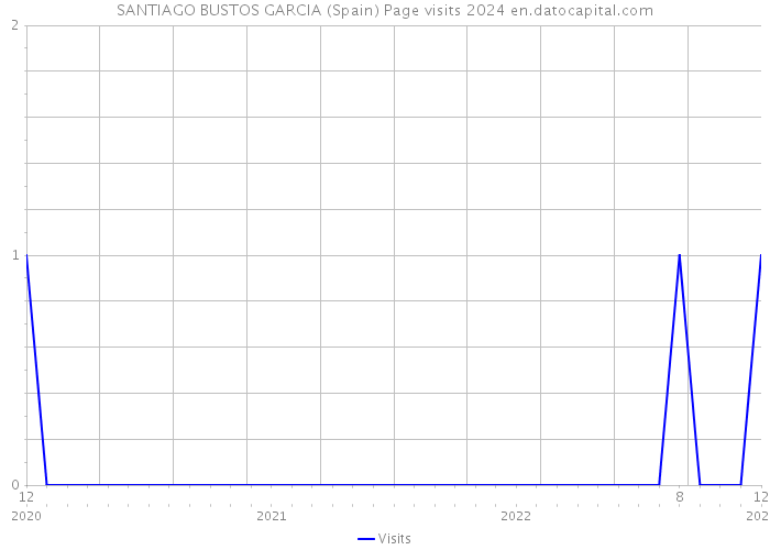 SANTIAGO BUSTOS GARCIA (Spain) Page visits 2024 