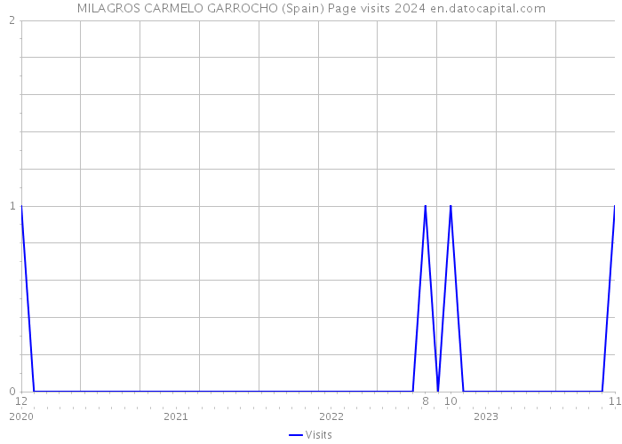 MILAGROS CARMELO GARROCHO (Spain) Page visits 2024 