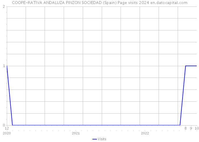 COOPE-RATIVA ANDALUZA PINZON SOCIEDAD (Spain) Page visits 2024 