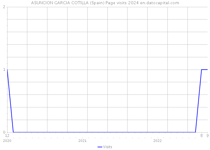 ASUNCION GARCIA COTILLA (Spain) Page visits 2024 