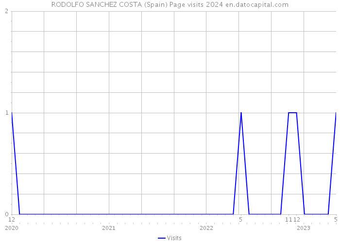 RODOLFO SANCHEZ COSTA (Spain) Page visits 2024 