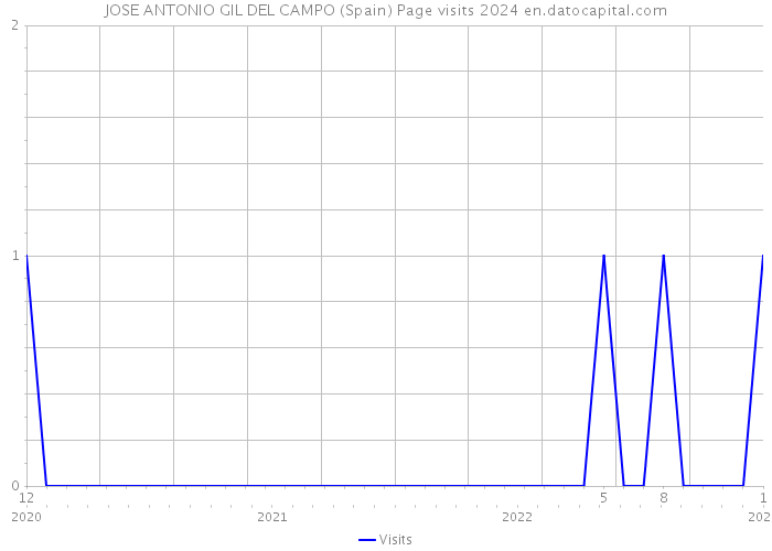 JOSE ANTONIO GIL DEL CAMPO (Spain) Page visits 2024 