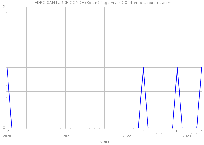 PEDRO SANTURDE CONDE (Spain) Page visits 2024 