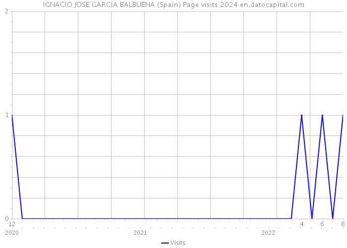 IGNACIO JOSE GARCIA BALBUENA (Spain) Page visits 2024 