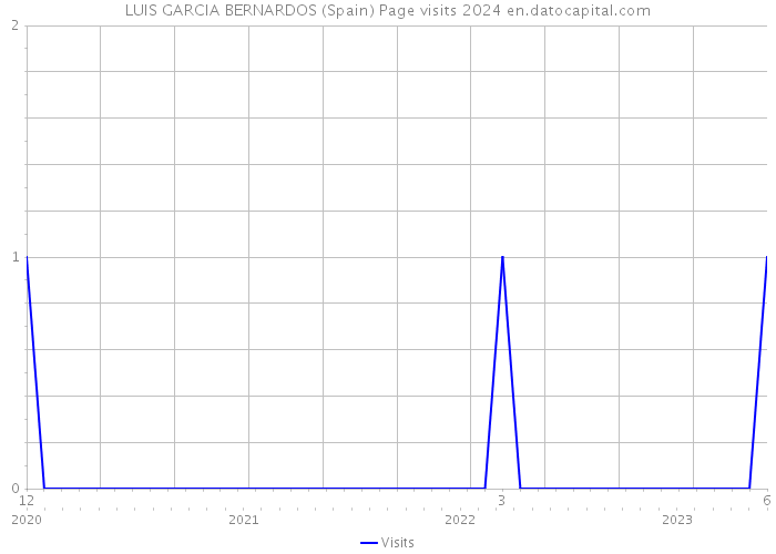 LUIS GARCIA BERNARDOS (Spain) Page visits 2024 