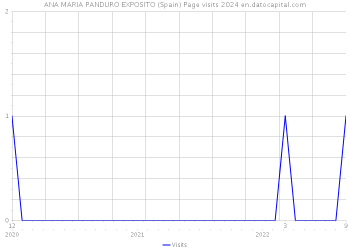 ANA MARIA PANDURO EXPOSITO (Spain) Page visits 2024 