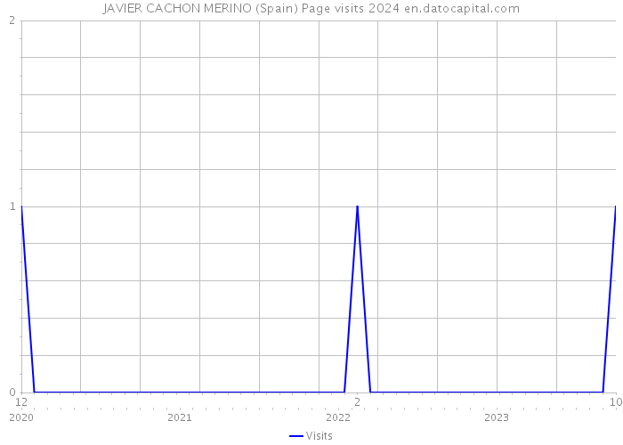 JAVIER CACHON MERINO (Spain) Page visits 2024 