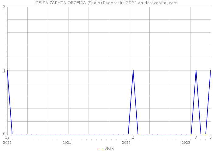 CELSA ZAPATA ORGEIRA (Spain) Page visits 2024 