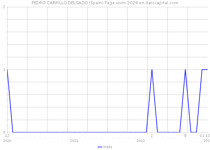 PEDRO CARRILLO DELGADO (Spain) Page visits 2024 