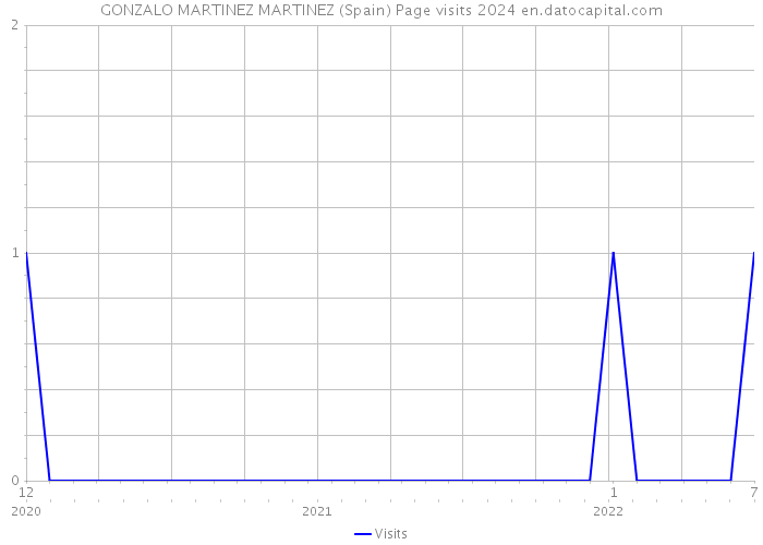 GONZALO MARTINEZ MARTINEZ (Spain) Page visits 2024 