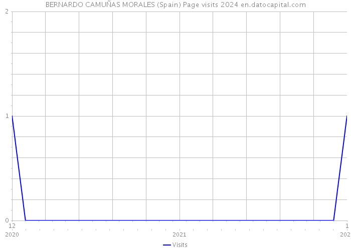 BERNARDO CAMUÑAS MORALES (Spain) Page visits 2024 