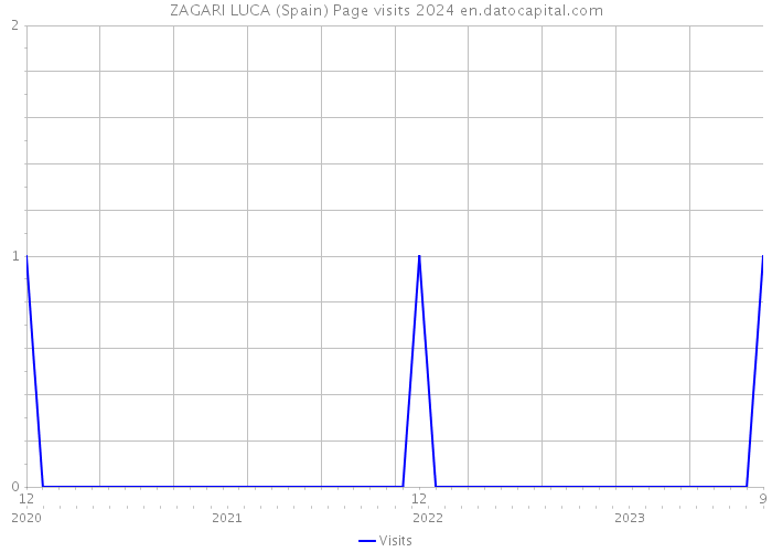 ZAGARI LUCA (Spain) Page visits 2024 