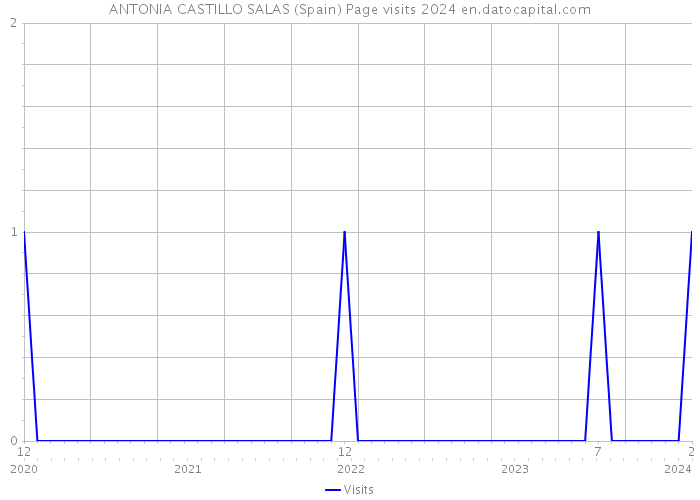 ANTONIA CASTILLO SALAS (Spain) Page visits 2024 