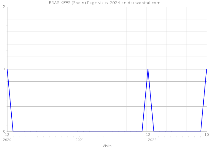 BRAS KEES (Spain) Page visits 2024 