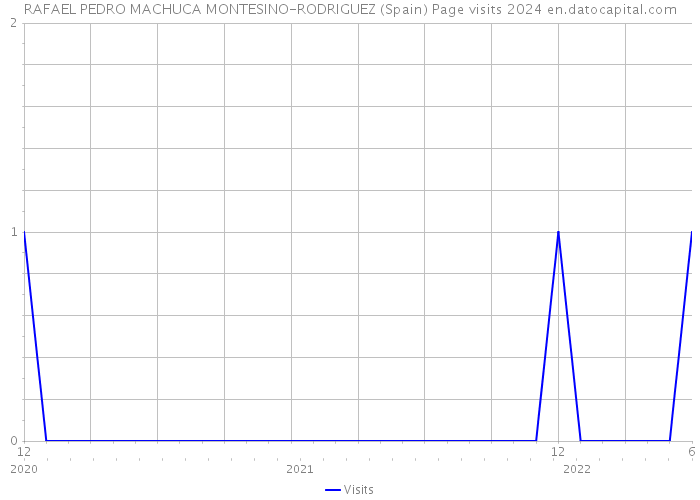 RAFAEL PEDRO MACHUCA MONTESINO-RODRIGUEZ (Spain) Page visits 2024 