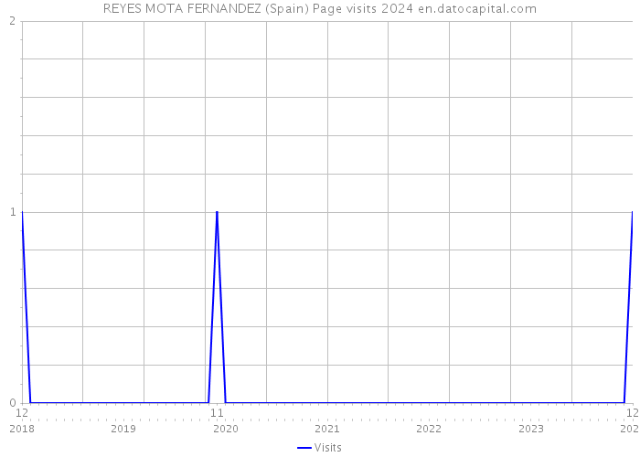 REYES MOTA FERNANDEZ (Spain) Page visits 2024 