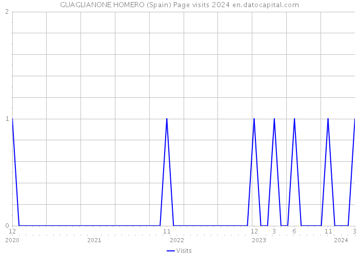 GUAGLIANONE HOMERO (Spain) Page visits 2024 
