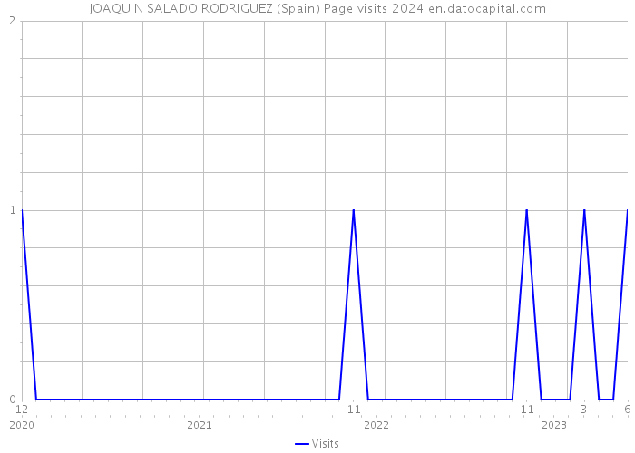 JOAQUIN SALADO RODRIGUEZ (Spain) Page visits 2024 