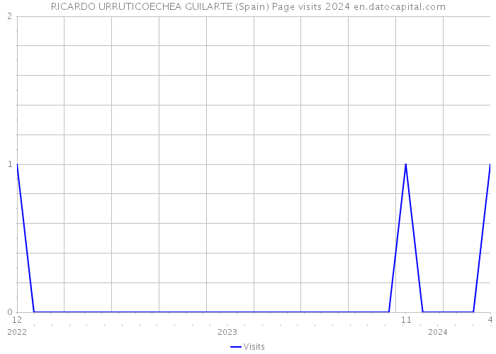 RICARDO URRUTICOECHEA GUILARTE (Spain) Page visits 2024 