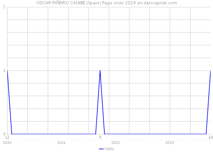 OSCAR PIÑEIRO CANIBE (Spain) Page visits 2024 