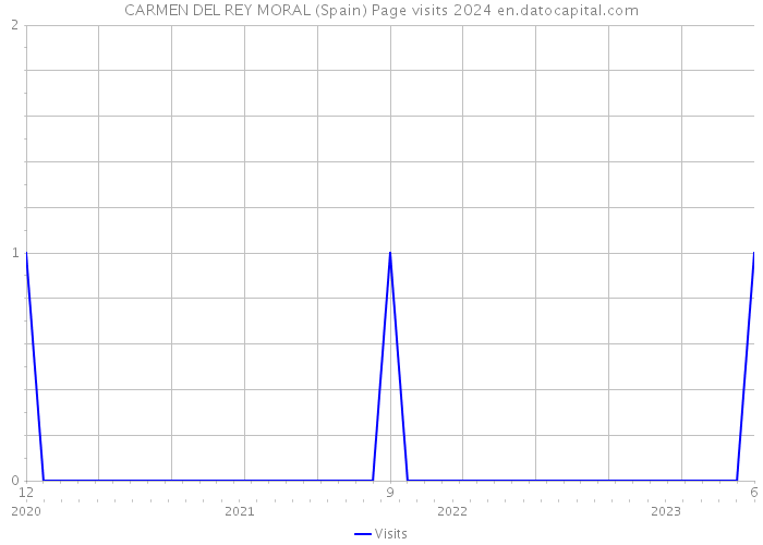 CARMEN DEL REY MORAL (Spain) Page visits 2024 