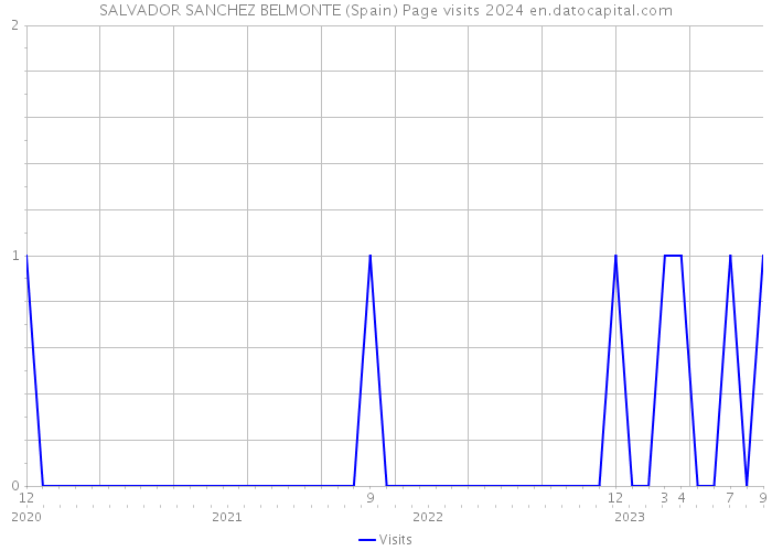 SALVADOR SANCHEZ BELMONTE (Spain) Page visits 2024 