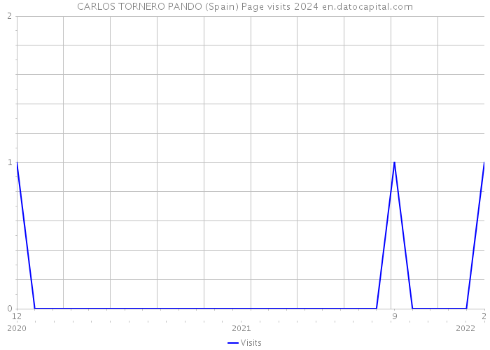 CARLOS TORNERO PANDO (Spain) Page visits 2024 