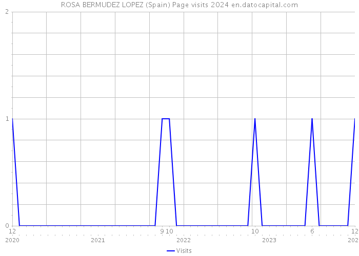 ROSA BERMUDEZ LOPEZ (Spain) Page visits 2024 