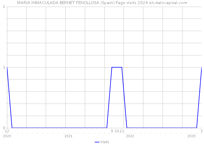 MARIA INMACULADA BERNET FENOLLOSA (Spain) Page visits 2024 