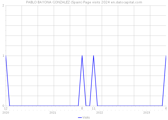 PABLO BAYONA GONZALEZ (Spain) Page visits 2024 