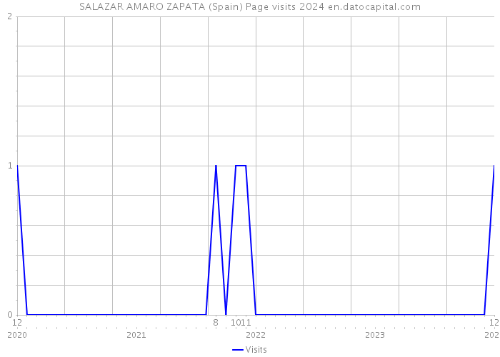 SALAZAR AMARO ZAPATA (Spain) Page visits 2024 