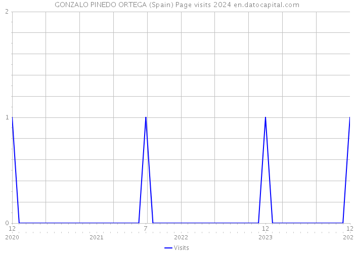 GONZALO PINEDO ORTEGA (Spain) Page visits 2024 