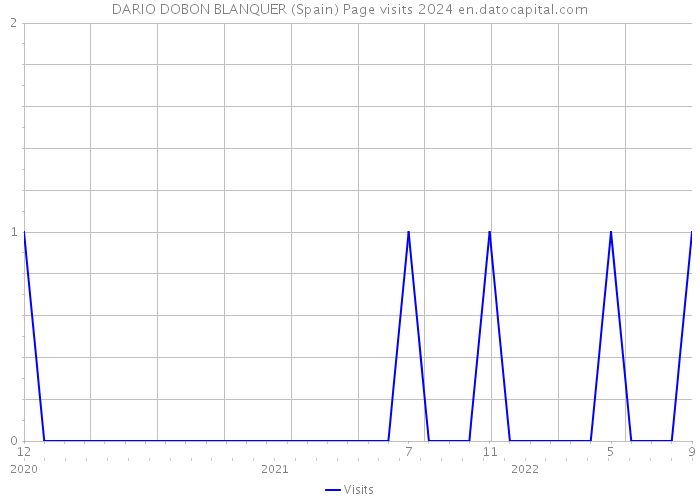 DARIO DOBON BLANQUER (Spain) Page visits 2024 