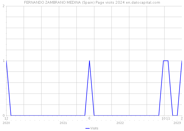 FERNANDO ZAMBRANO MEDINA (Spain) Page visits 2024 
