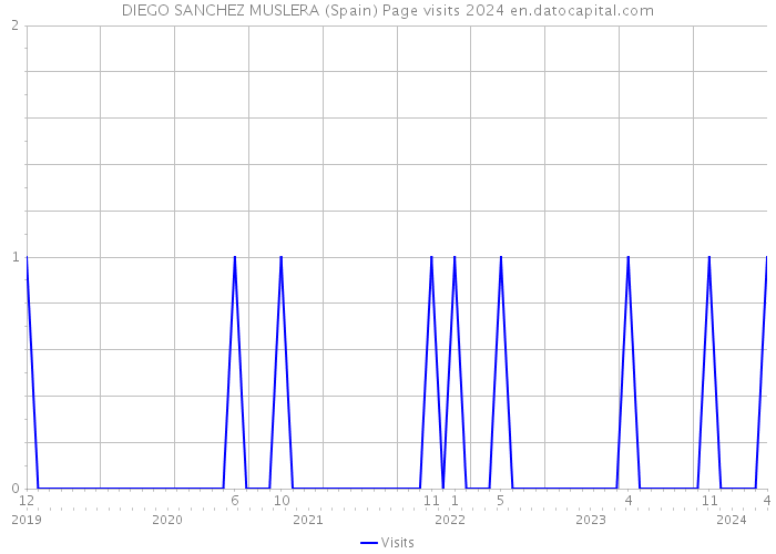 DIEGO SANCHEZ MUSLERA (Spain) Page visits 2024 