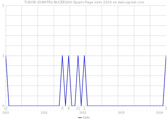 TUDOR-DUMITRU BUCERZAN (Spain) Page visits 2024 