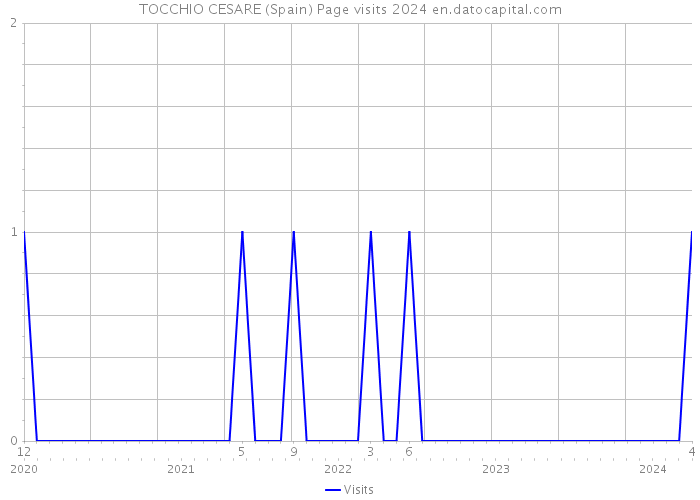 TOCCHIO CESARE (Spain) Page visits 2024 