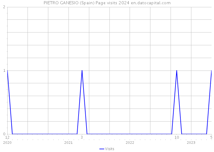 PIETRO GANESIO (Spain) Page visits 2024 