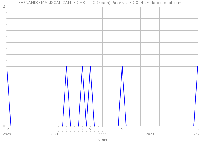 FERNANDO MARISCAL GANTE CASTILLO (Spain) Page visits 2024 