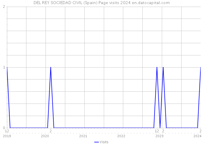 DEL REY SOCIEDAD CIVIL (Spain) Page visits 2024 