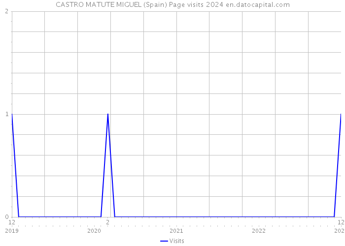 CASTRO MATUTE MIGUEL (Spain) Page visits 2024 