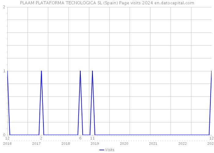 PLAAM PLATAFORMA TECNOLOGICA SL (Spain) Page visits 2024 